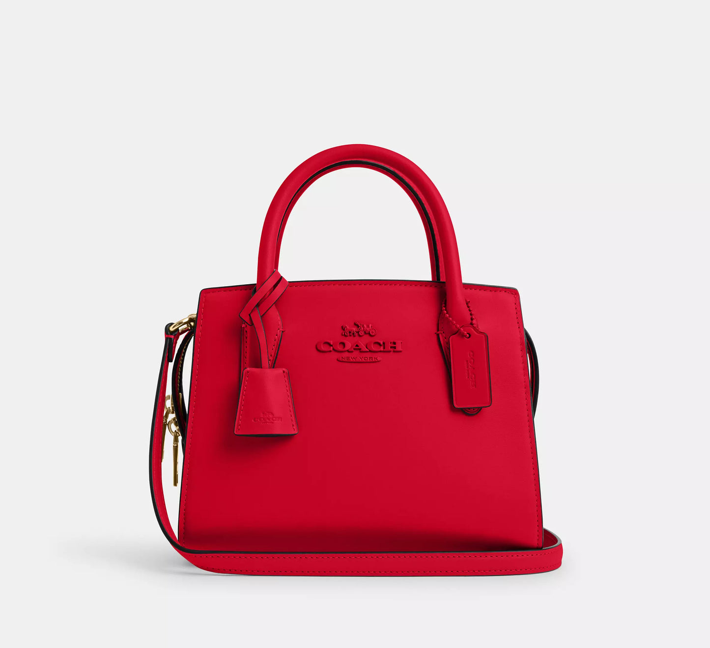 Coach Andrea Carryall Bag