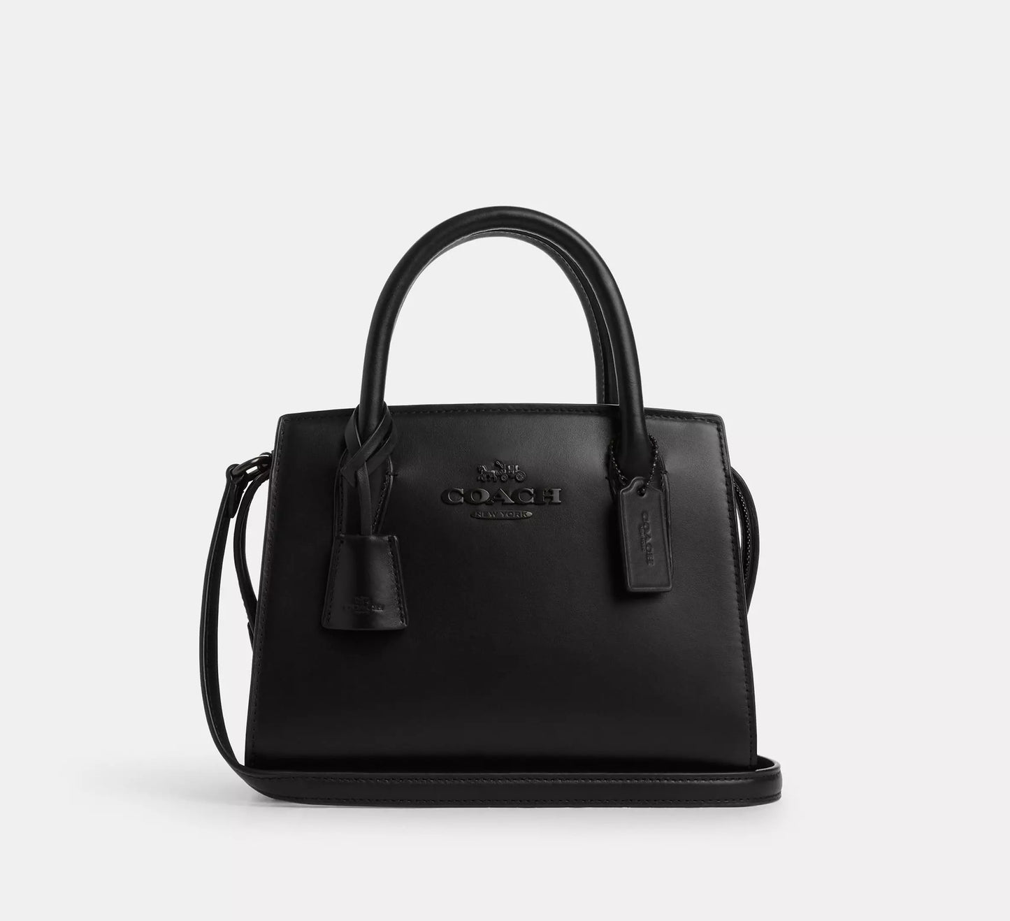 Coach Andrea Carryall Bag