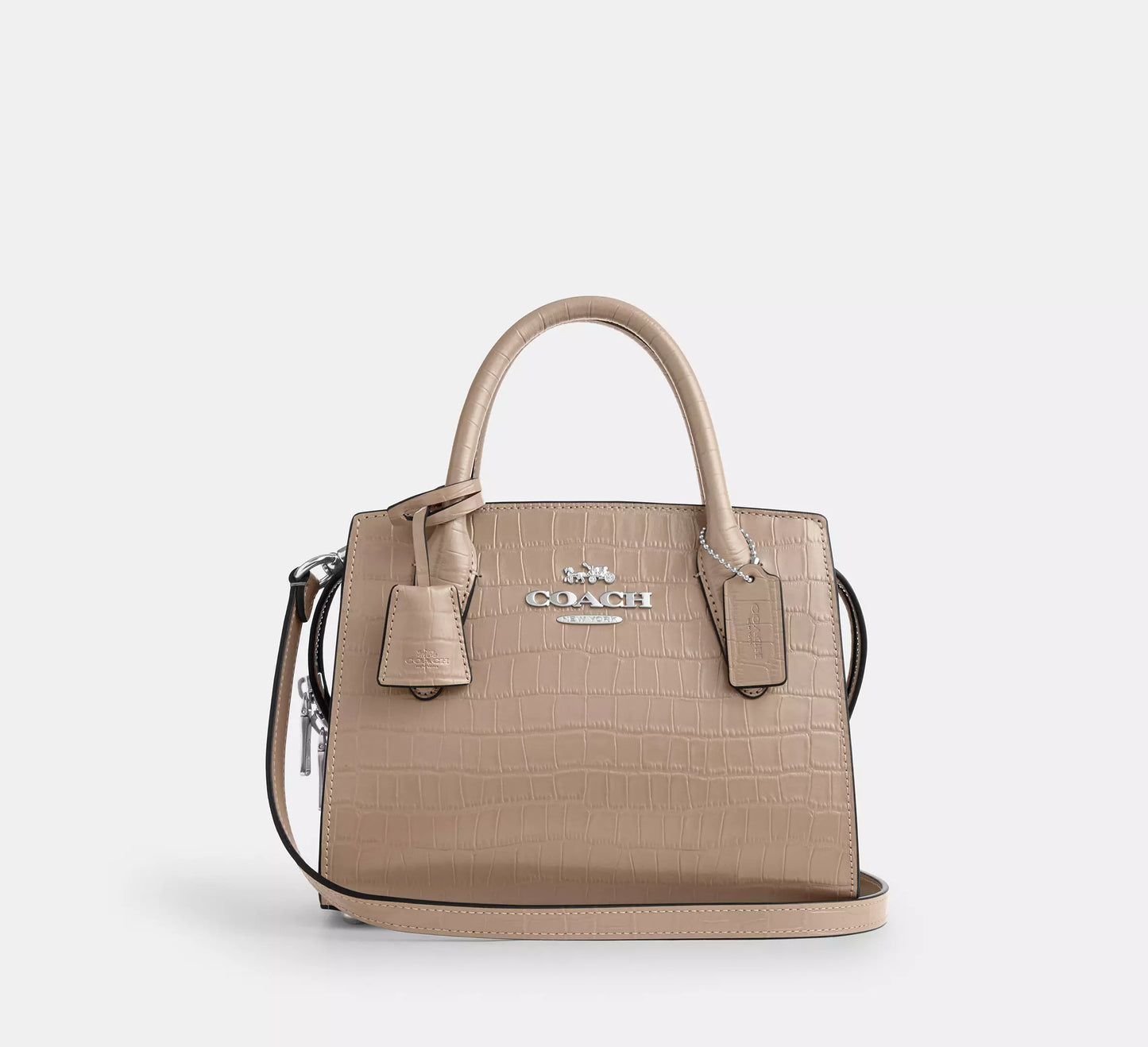 Coach Andrea Carryall Bag